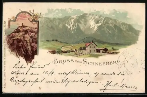Lithographie Puchberg / Schneeberg, Panorama Berghütte und Berglandschaft