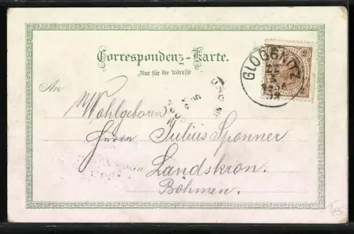 Lithographie Gloggnitz, Luftbild, Blumen