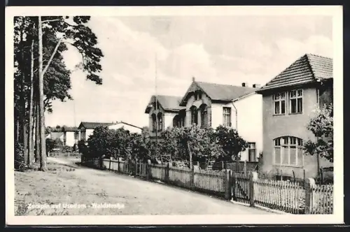 AK Zempin / Usedom, Häuser in der Waldstrasse