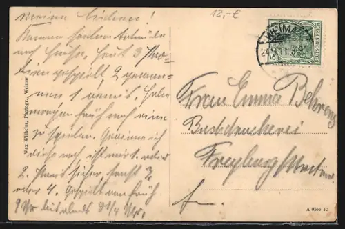 AK Weimar / Thür., Gasthof Zum weissen Schwan, Goethemuseum und Portrait