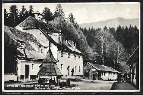 AK Zwiesel / Bayern, Zwiesler Waldhaus mit grossem Falkenstein