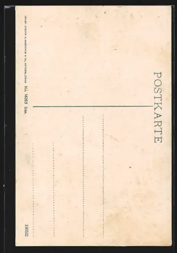 AK Brugg, Ortsansicht aus der Vogelschau