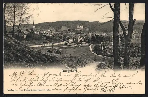 AK Burgdorf, Panoramaansicht