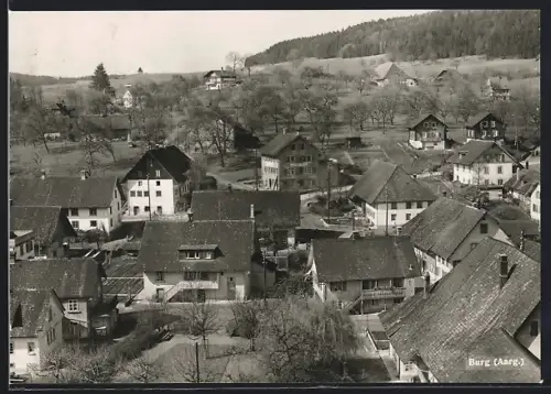 AK Burg /Aarg., Strassenpartie mit Bäumen