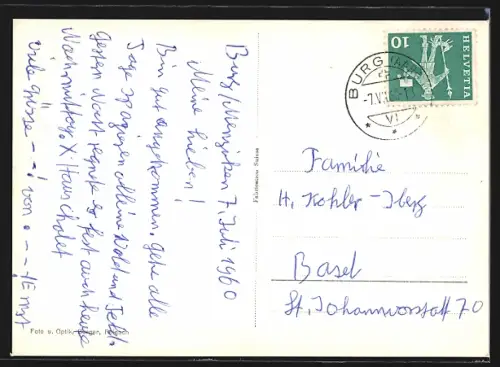 AK Burg /Aarg., Strassenpartie mit Bäumen