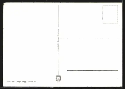 AK Birr-Lupfig /Aarg., Teilansicht, Fliegeraufnahme