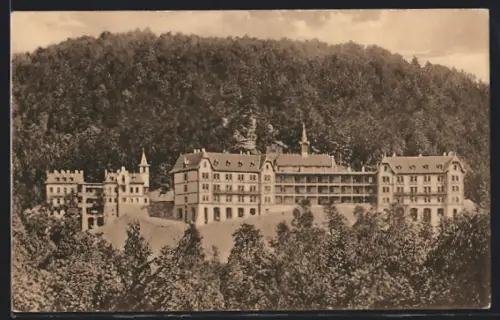 AK Sülzhayn /Südharz, Sanatorium Dr. Kremer in Waldumgebung