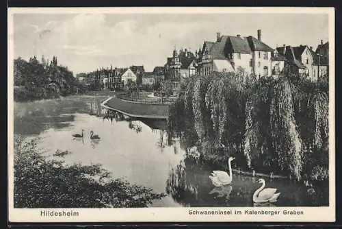 AK Hildesheim, Schwaneninsel im Kalenberger Graben