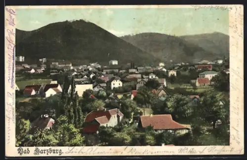 AK Bad Harzburg, Ortsansicht mit Berghintergrund