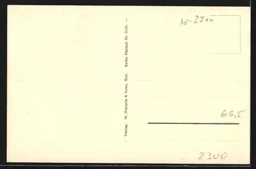 AK Kiel, Blick vom Rathausturm auf Stadt und Hafen