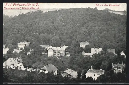 AK Bad Freienwalde a. O., Blick in das Brunnental