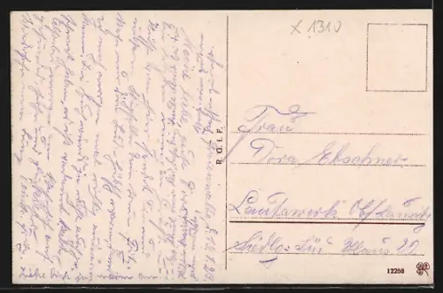 AK Bad Freienwalde a. O., Blick in das Brunnental