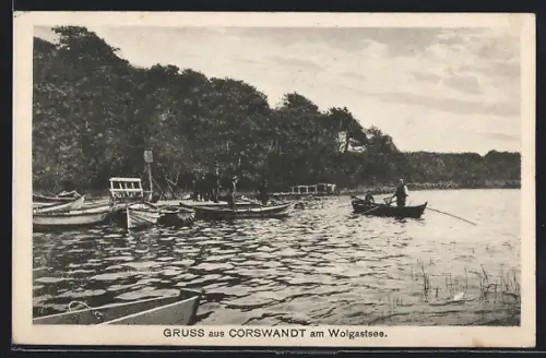 AK Corswandt am Wolgastsee, Uferpartie mit Ausflüglern in Booten
