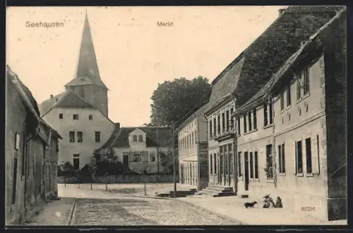 AK Seehausen / Wanzleben, Blick auf den Markt mit Kirche
