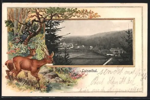 Passepartout-Lithographie Luisenthal, Gesamtansicht, Rehe an einem Bach
