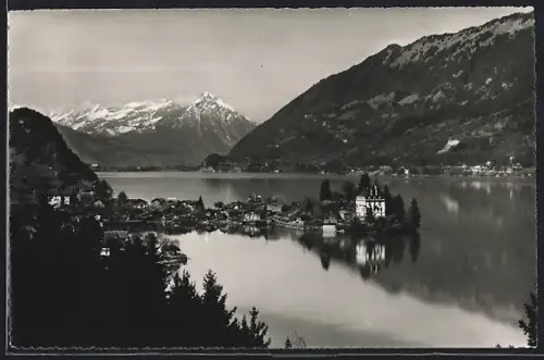 AK Iseltwald, Ortsansicht und Seepartie aus der Vogelschau