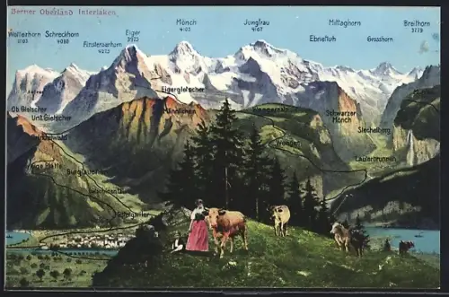 AK Interlaken, Gesamtansicht mit Blick auf Eiger, Mönch und Jungfrau, Gipfelpanorama und Kühe auf der Weide