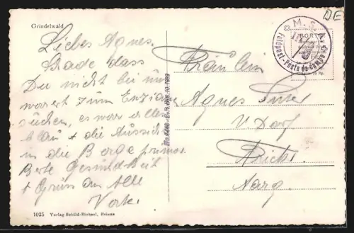 AK Grindelwald, Ortsansicht aus der Vogelschau
