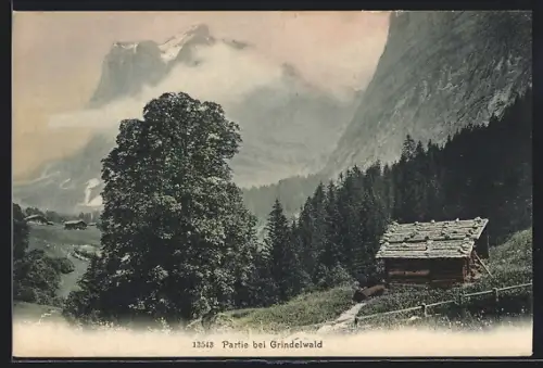AK Grindelwald, Wegpartie mit Berghütte