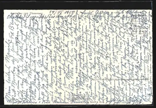 AK Faulensee am Thunersee, Totalansicht