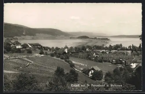 AK Erlach, Blick zur St. Petersinsel und dem Bielersee
