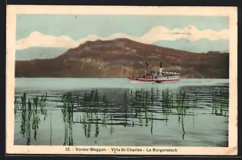 AK Vorder-Meggen, Seepartie mit Dampfer, Le Burgenstock