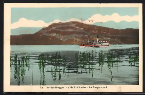 AK Vorder-Meggen, Le Burgenstock, Seepartie mit Dampfer