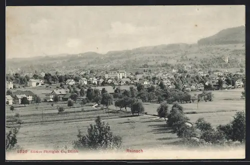 AK Reinach /AG, Gesamtansicht aus dem Grünen