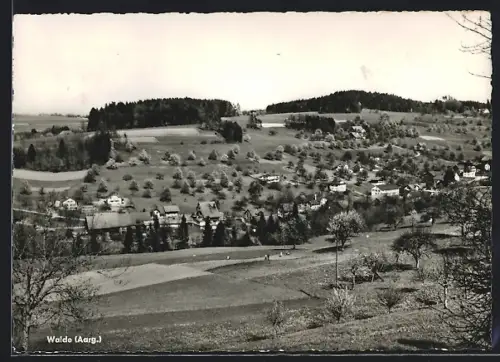 AK Walde /Aarg., Ortsansicht im Frühling