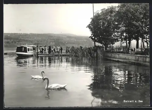 AK Beinwil a. See, Uferpartie mit Boot