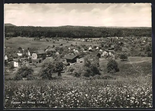 AK Hausen bei Brugg, Teilansicht mit Blumenwiese