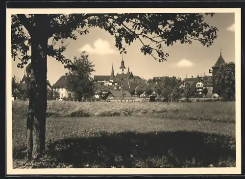 AK Sursee, Ortspartie mit Bäumen