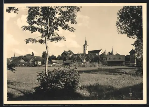 AK Sursee, Ortspartie mit Kirche