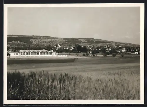 AK Sursee, Teilansicht mit Bäumen