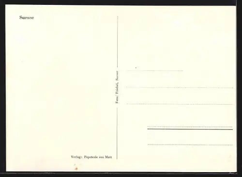 AK Sursee, Teilansicht mit Bäumen