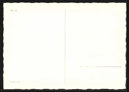 AK Sursee, Strassenpartie mit Geschäften