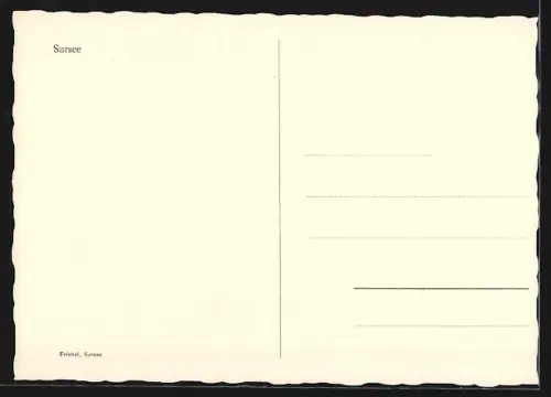 AK Sursee, Strassenpartie mit Schreibwarengeschäft