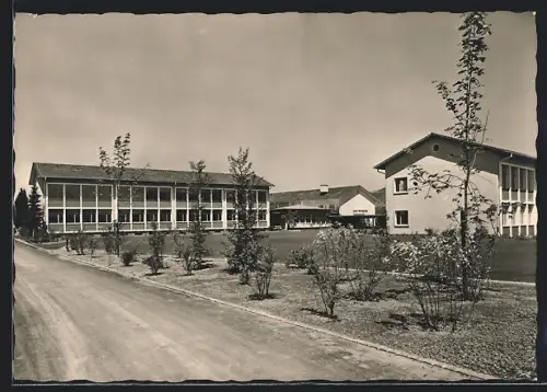 AK Sursee, Neufeld-Schulhaus mit Strassenpartie