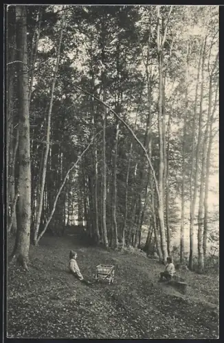 AK Sursee, Partie in der Hasenwart