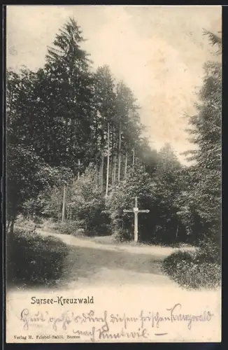 AK Sursee, Kreuzwald, Ortspartie