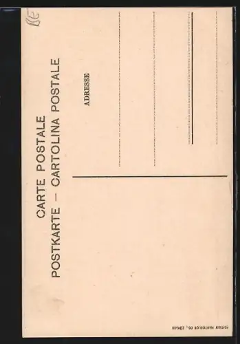 AK Meiringen, Teilansicht mit Well- und Wetterhorn