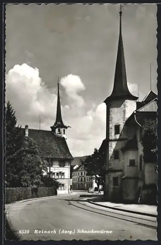 AK Reinach /Aarg., Schneckentürme mit Strassenpartie