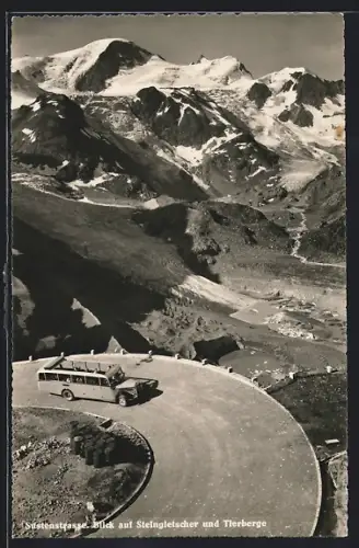 AK Sustenpass, Steingletscher mit Tierbergen