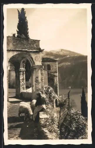 AK Morcote /Lago di Lugano, Panorama mit Schafhirtin