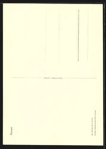 AK Sursee, Teilansicht mit Bäumen