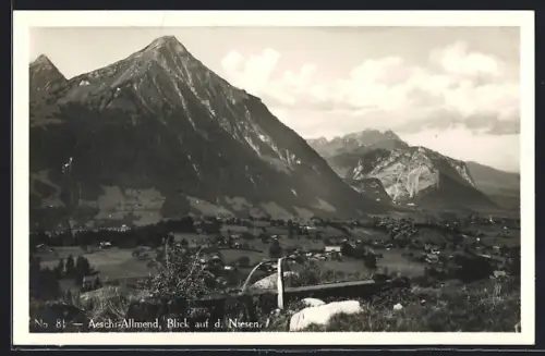 AK Aeschi b. Spiez, Allmend, Panoramablick auf d. Niesen