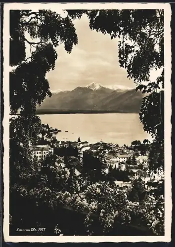 AK Locarno, Panorama