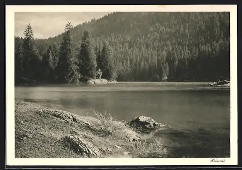 AK Flims, Caumasee, Seeblick auf Waldpartie