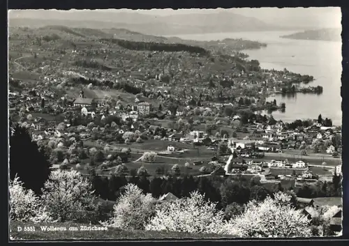 AK Wollerau am Zürichsee, Ortsansicht mit Seeblick