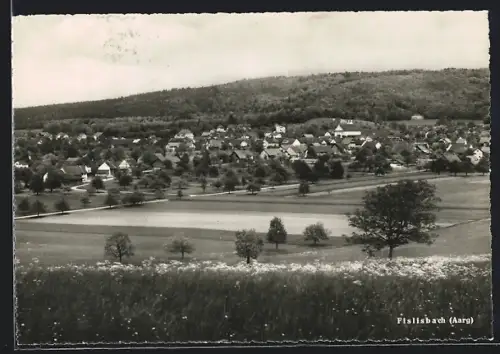 AK Fislisbach /Aarg., Ortsansicht von der Weide aus